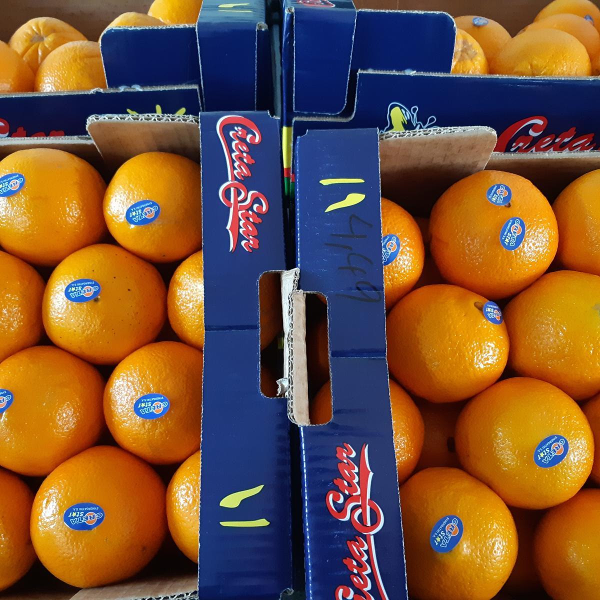 1 kasse store appelsiner fra Kreta - 5,5 kg