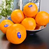 Appelsin Marmelade