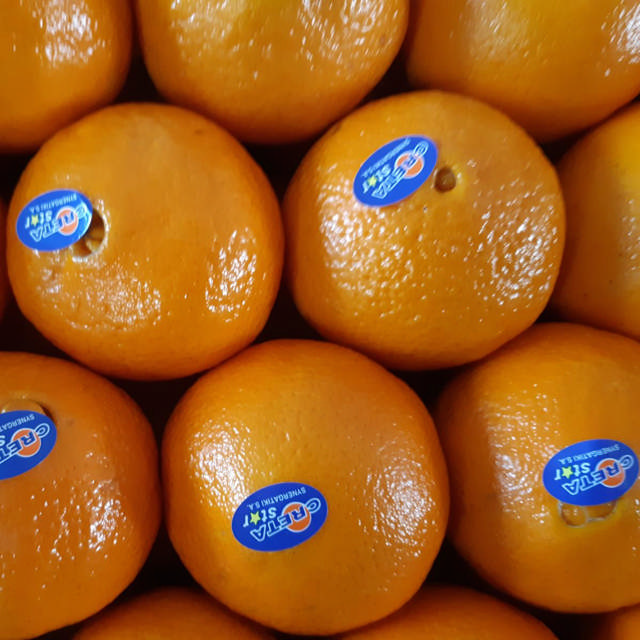 10 stk appelsiner fra Kreta