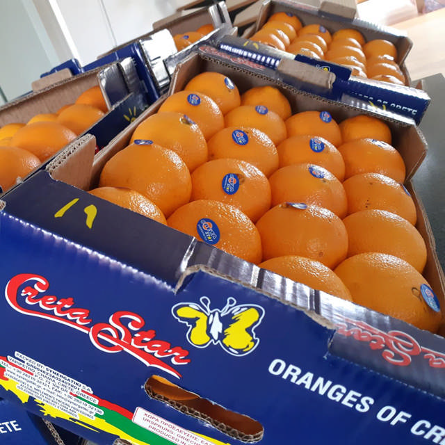1 kasse appelsiner fra Kreta - 9 kg