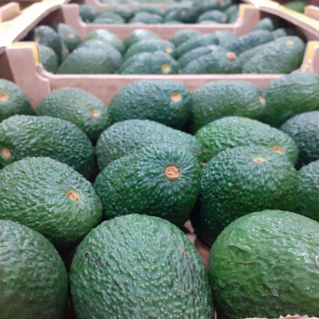 5 stk Avocado (Haas) fra Kreta - 151-175g