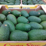 1 kasse Avocado (Haas) fra Kreta - 24 stk 151-175g