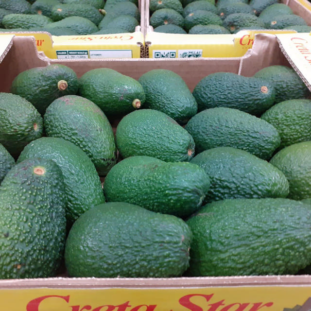 1 kasse Avocado (Haas) fra Kreta - 24 stk 151-175g