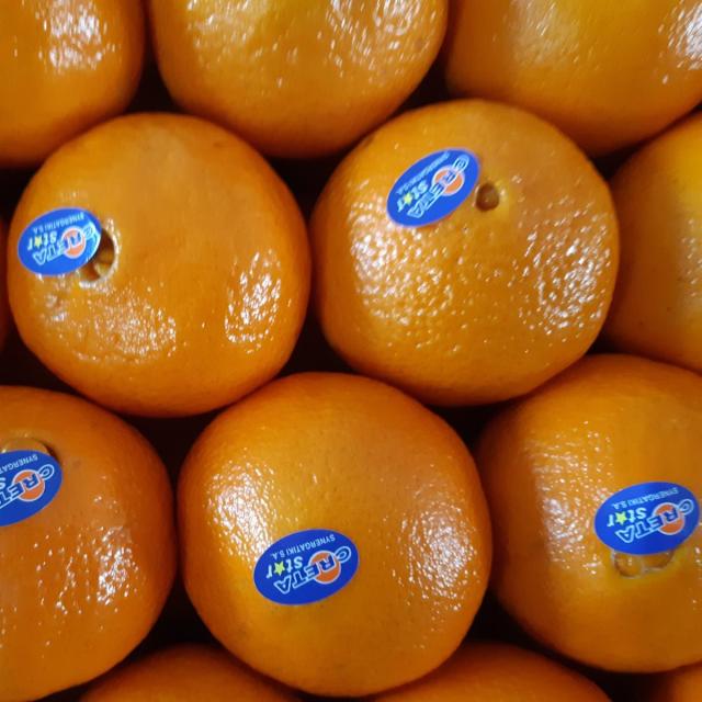 1 kasse appelsiner fra Kreta - 9 kg