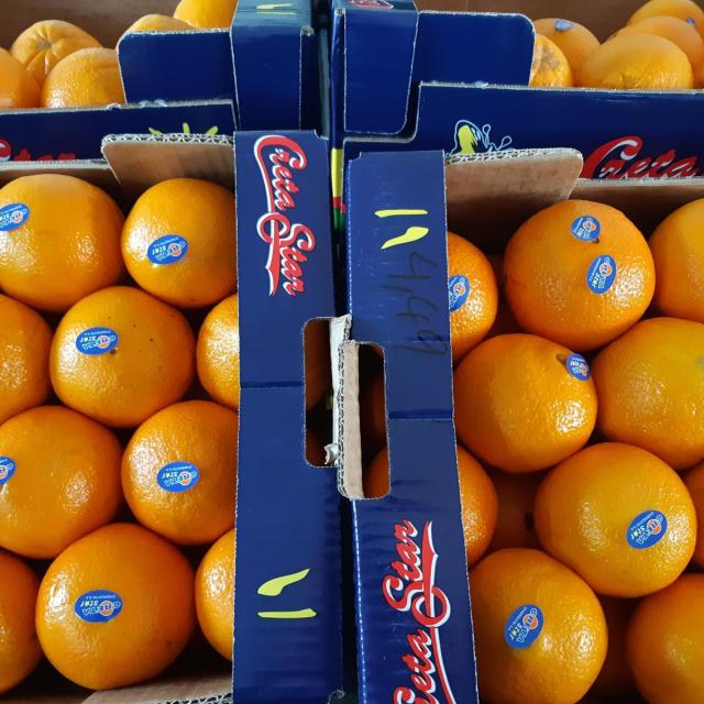 1 kasse appelsiner fra Kreta - 9 kg